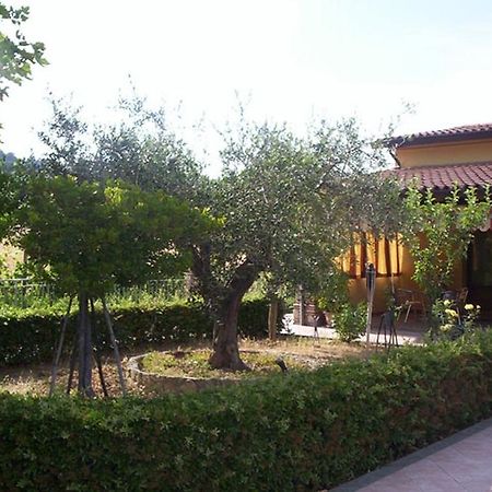 Agriturismo 7 Colonne Villa Bertinoro Exterior foto
