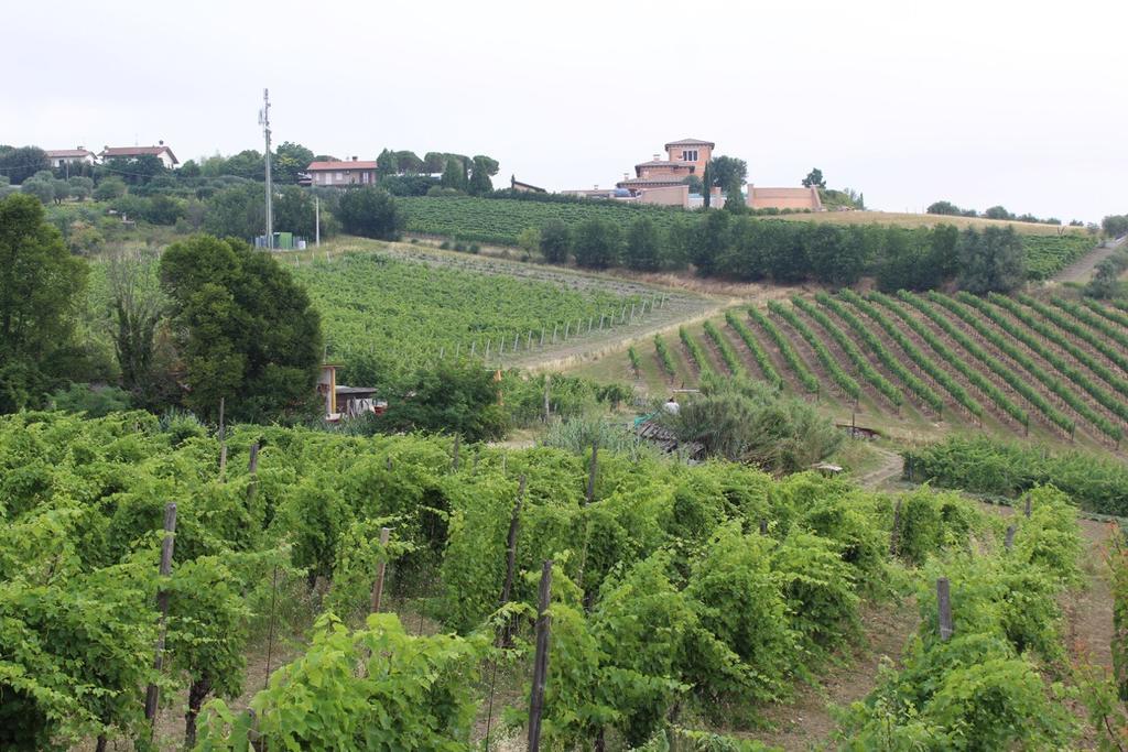 Agriturismo 7 Colonne Villa Bertinoro Exterior foto
